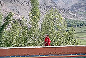 Ladakh - monk at Phyang monastery 